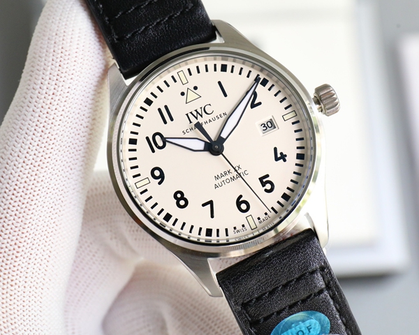 アイ・ダブリュー・シー背面デザイン